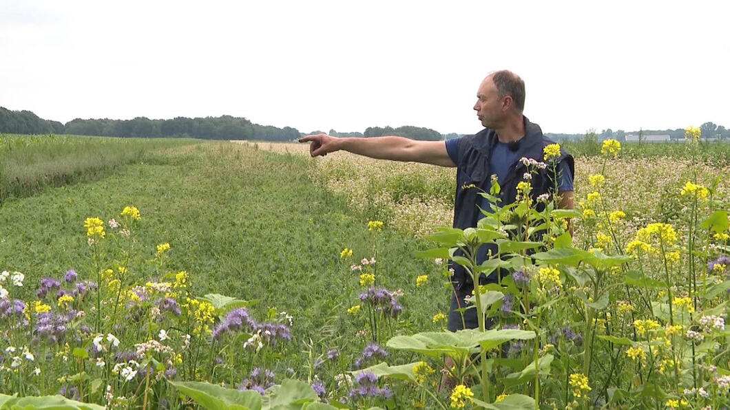 Kees Sijbenga op zijn land met strokenteelt