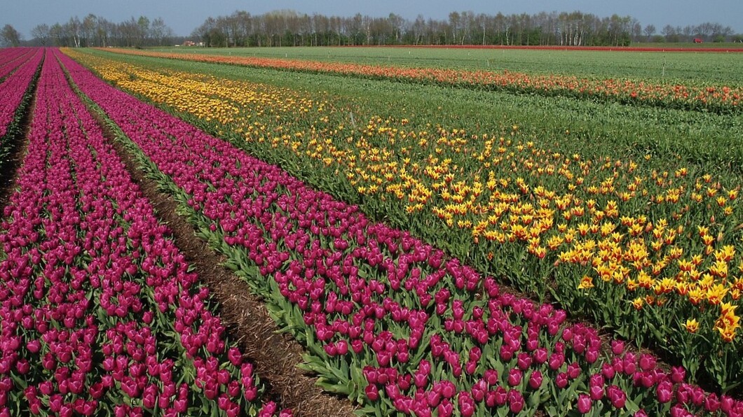 Bescherming tegen bollengif