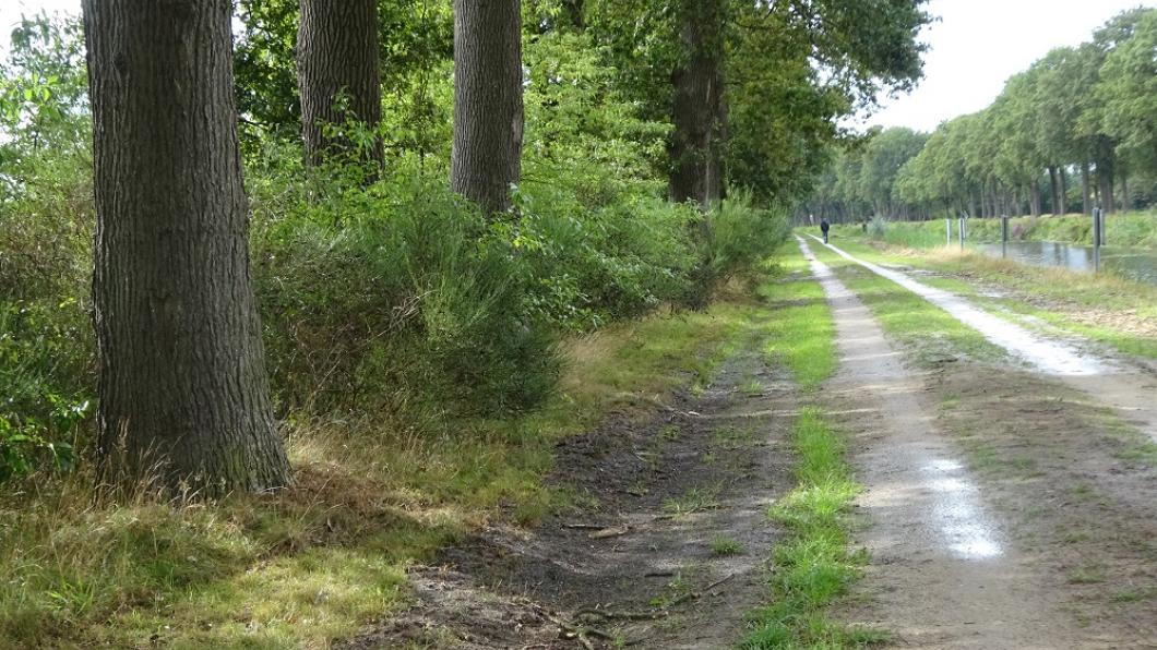 2019 09 08 fietspad oranjekanaal.jpg