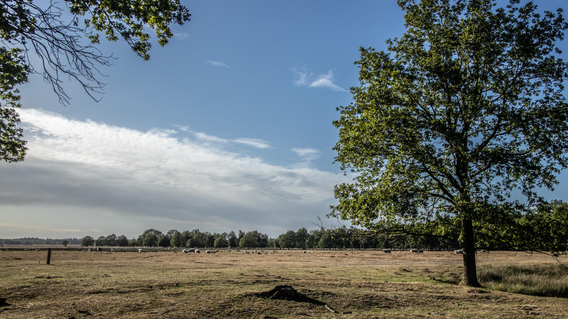 natuur en landschap